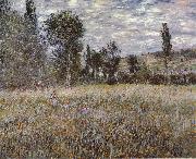 Claude Monet A Mcadow oil painting on canvas